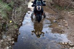 IMG-20260212-WA0099
